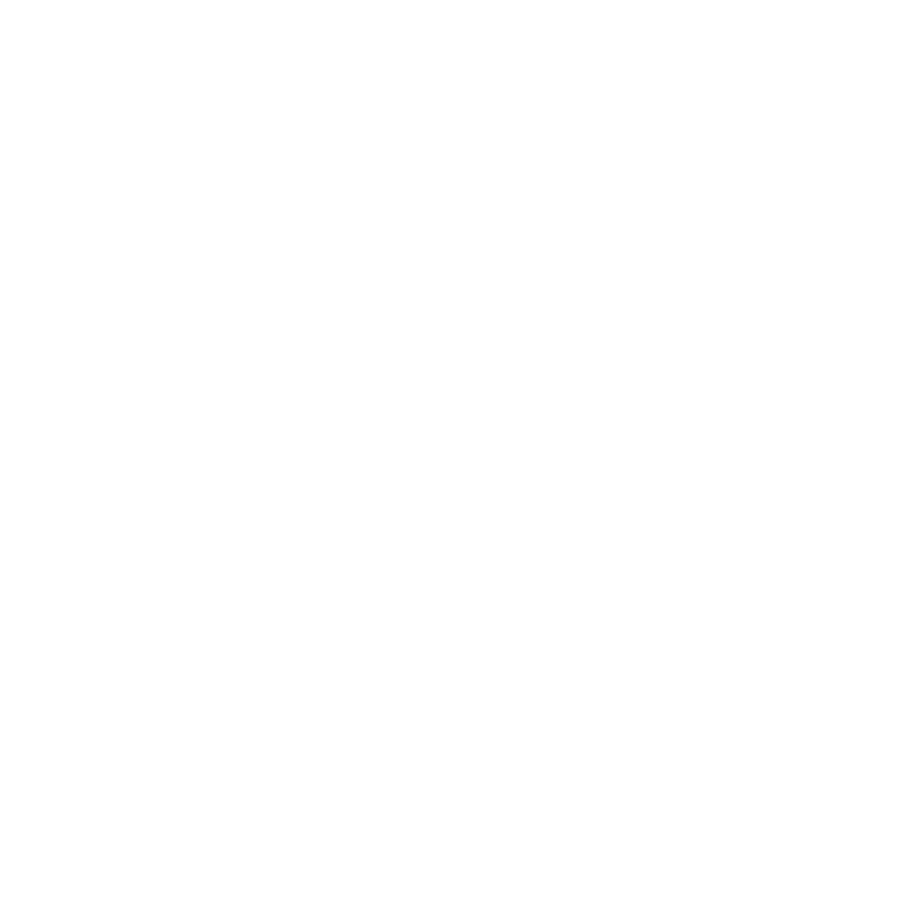 Cliente 31